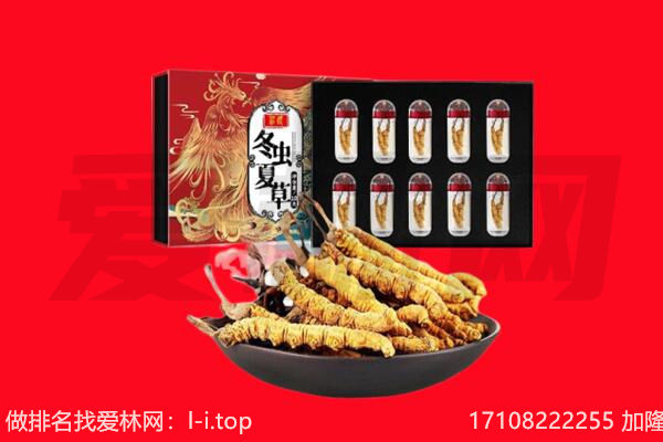塔城回收虫草.jpg